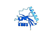 Anti-Vibrio cholerae higB-2 VHH (SAA0851)