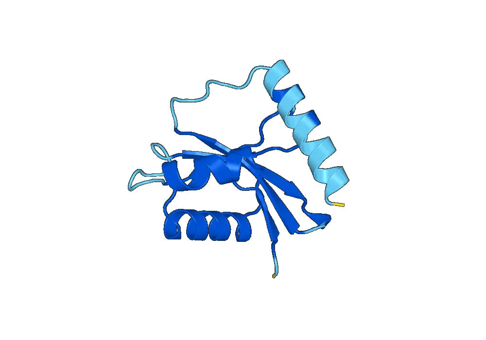 Anti-Vibrio cholerae higB-2 VHH (SAA0851)