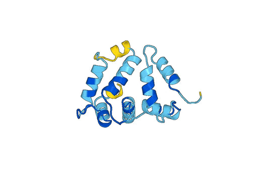 Anti-VSNL1 Polyclonal antibody