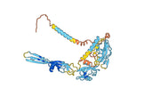 Anti-VSV G/Glycoprotein G Antibody (2F7)
