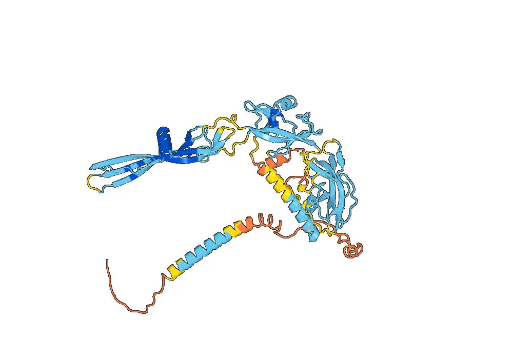 Anti-VSV G/Glycoprotein G Antibody (2H5)