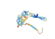 Anti-VSV G/Glycoprotein G Antibody (VI20)