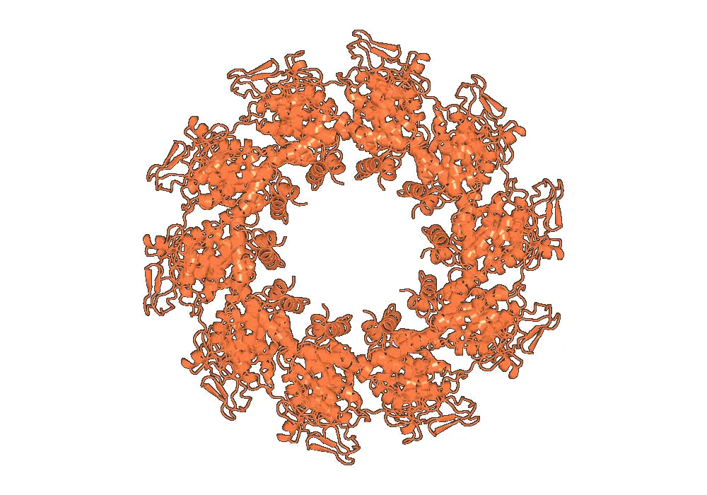 Anti-VSV NP/Nucleoprotein Antibody (1004)