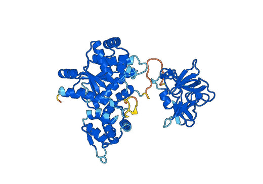 Anti-YARS1 Polyclonal antibody