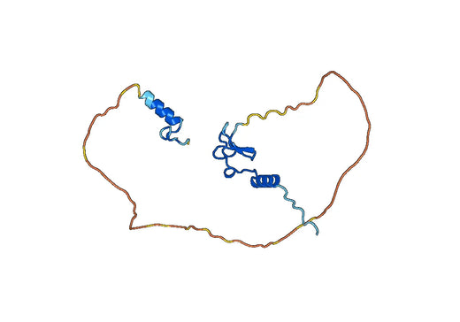 Anti-ZFAND6 Polyclonal antibody