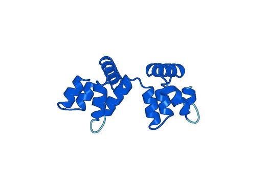 ANXA3, N-His, recombinant protein