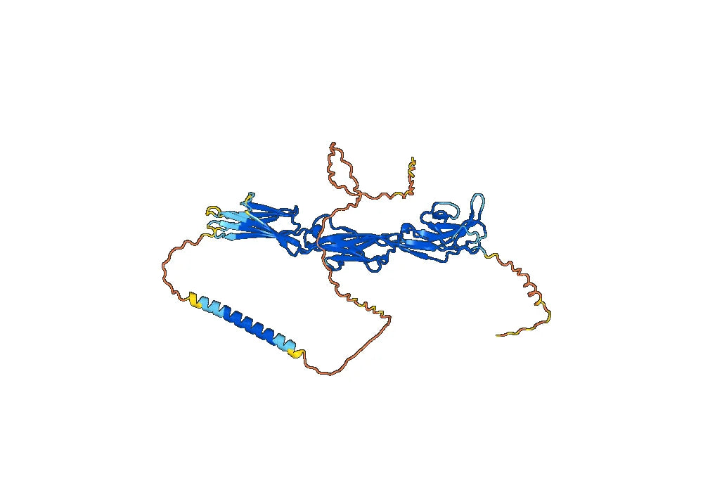 Anzurstobart Biosimilar - Anti-BIT mAb - Research Grade