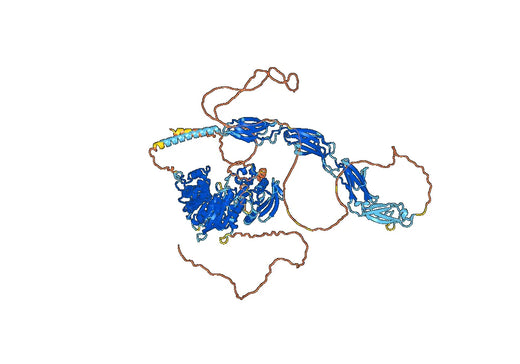 Apamistamab ELISA Kit