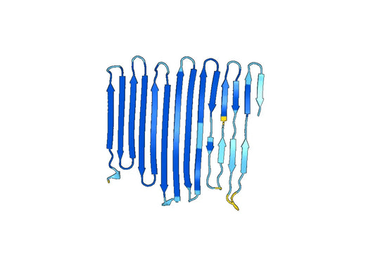 APOB, N-His, recombinant protein