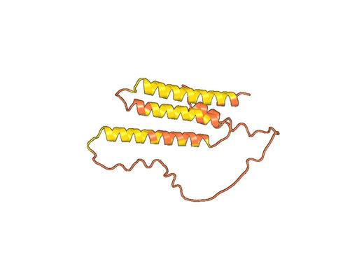 APOL2, N-His, recombinant protein