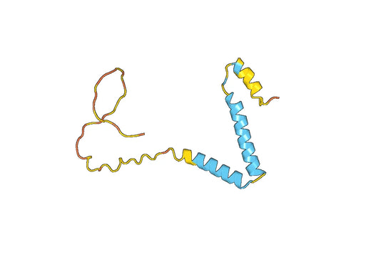 AQP4, N-His, recombinant protein