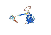 Ascrinvacumab Biosimilar - Anti-ACVRL1, SKR3, TGF-B, TSR-I mAb - Research Grade