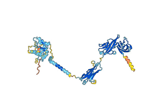 Astegolimab ELISA Kit