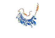 Atibuclimab Biosimilar - Anti-CD14 mAb - Research Grade