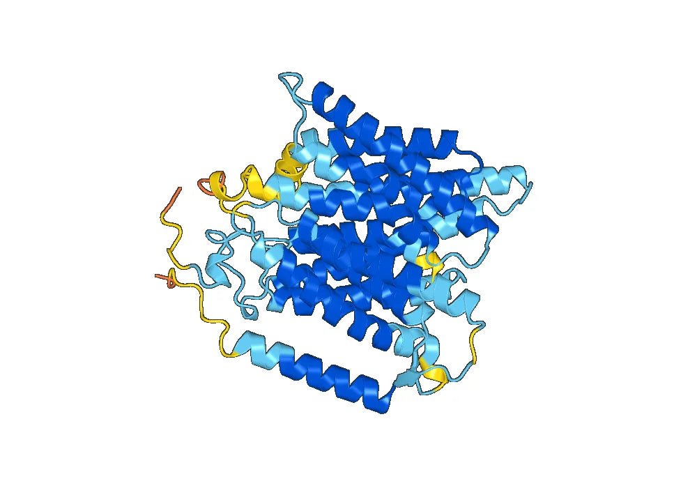 Atorolimumab Biosimilar - Anti-RHD, CD240D mAb - Research Grade