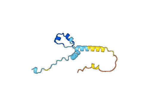 ATP2C2, N-GST, recombinant protein