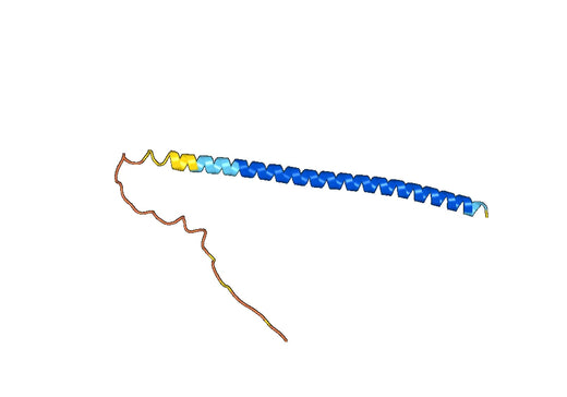 ATP5IF1, N-GST, recombinant protein