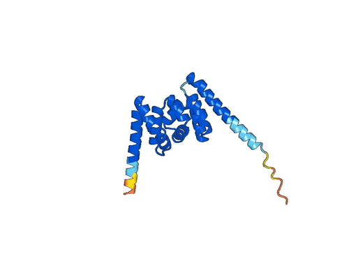 ATXN10, N-His, recombinant protein
