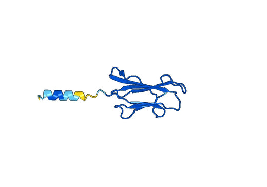 B2M protein - Human Beta-2-microglobulin(B2M) Recombinant Protein