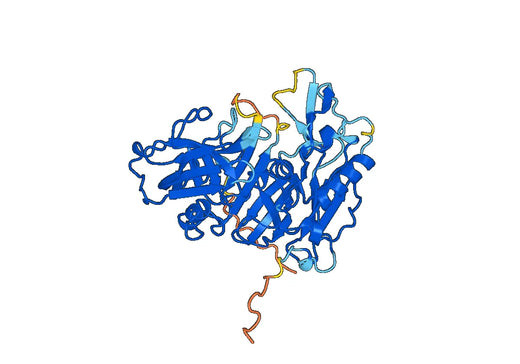 BACE1, N-His, recombinant protein