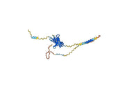 Balstilimab Biosimilar - Anti-PDCD1, PD1, CD279 mAb - Research Grade
