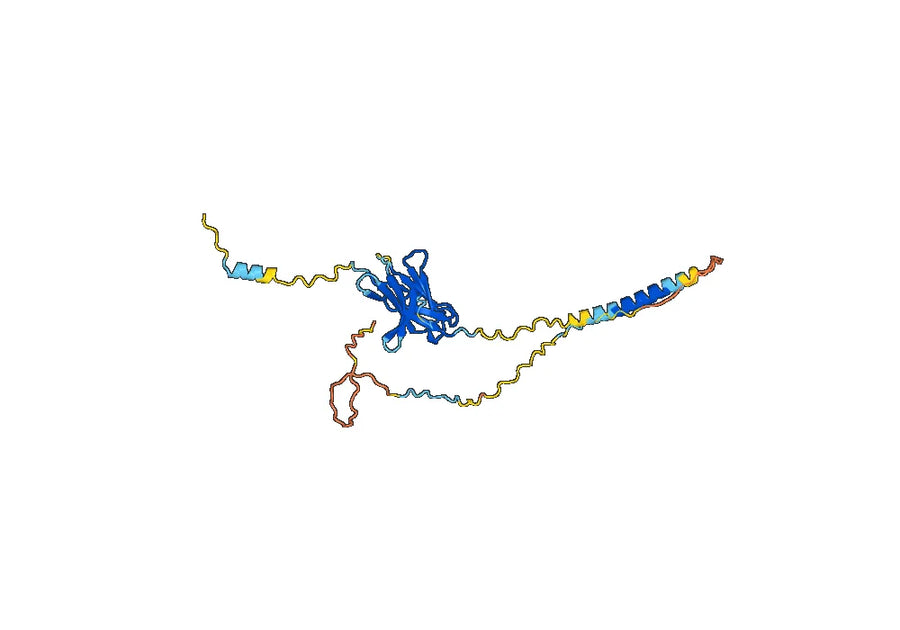 Balstilimab Biosimilar - Anti-PDCD1, PD1, CD279 mAb - Research Grade