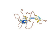 Bapotulimab Biosimilar - Anti-ILDR2 mAb - Research Grade