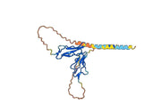 Basiliximab Biosimilar – Anti-IL2RA, CD25 mAb – Research Grade