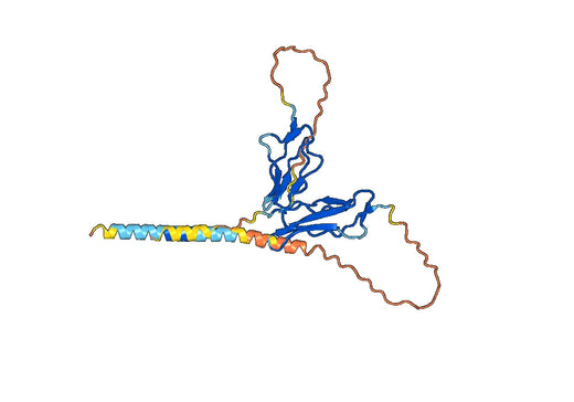 Basiliximab ELISA Kit