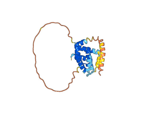 Bcl-2-like protein 1(BCL2L1)