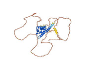 BCL6, N-His, recombinant protein
