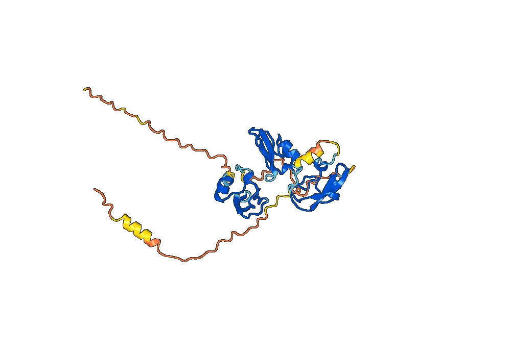Befovacimab Biosimilar - Anti-TFPI mAb - Research Grade