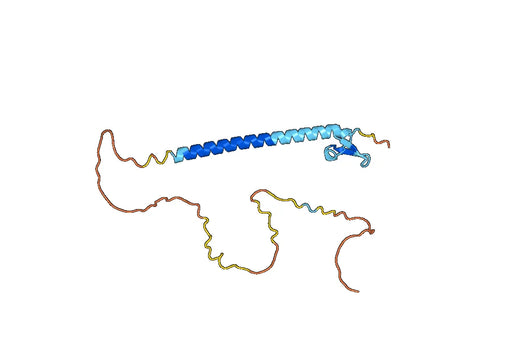 Belantamab ELISA Kit