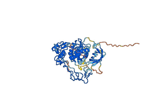 Bemiltenase Alfa Biosimilar - Anti-Coagulation factor X-activating enzyme heavy chain mAb - Research Grade