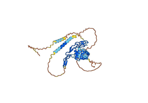 Benufutamab ELISA Kit