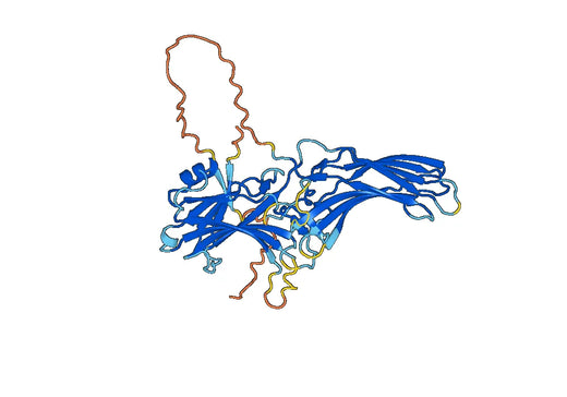 Beta-arrestin-2(ARRB2)