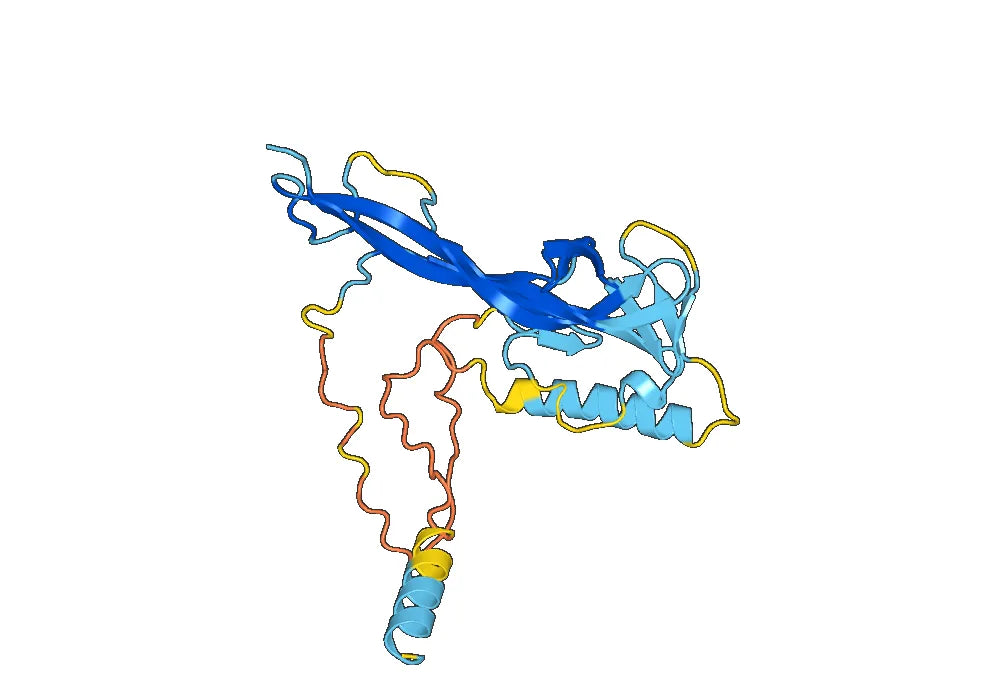 beta-nerve growth factor(NGF)
