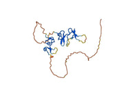 BHQ880 Biosimilar - Anti-DKK1 mAb - Research Grade