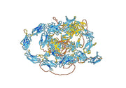 Bifikafusp Biosimilar - Anti-FN extra domain B mAb - Research Grade