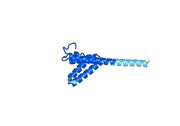 Birtamimab Biosimilar - Anti-SAA1 mAb - Research Grade