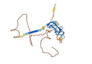 Blinatumomab Biosimilar – Anti-CD19/CD3E Bispecific Antibody (Research Grade)