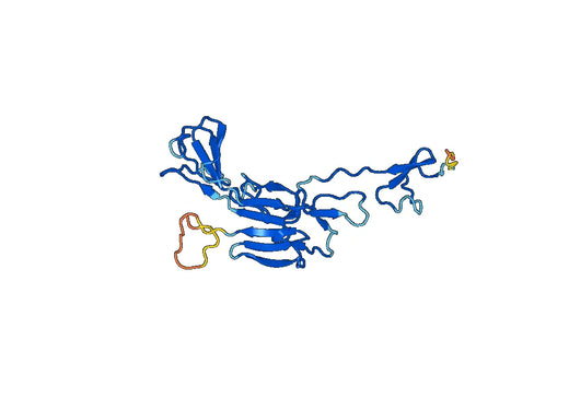 BMPER, N-His, recombinant protein