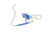 Briobacept Biosimilar - Anti-BAFF fusion protein - Research Grade