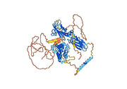 Brodalumab Biosimilar - Anti-IL17RA, CD217 mAb - Research Grade