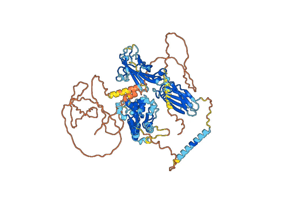 Brodalumab Biosimilar - Anti-IL17RA, CD217 mAb - Research Grade
