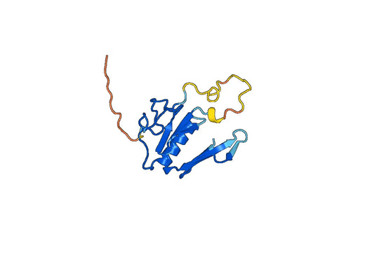 BTK, N-His, recombinant protein