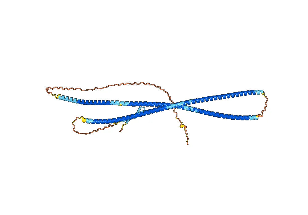 Burfiralimab Biosimilar - Anti-VIM mAb - Research Grade