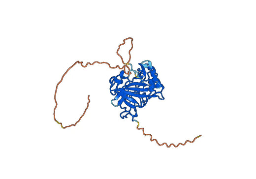 CA9 recombinant protein