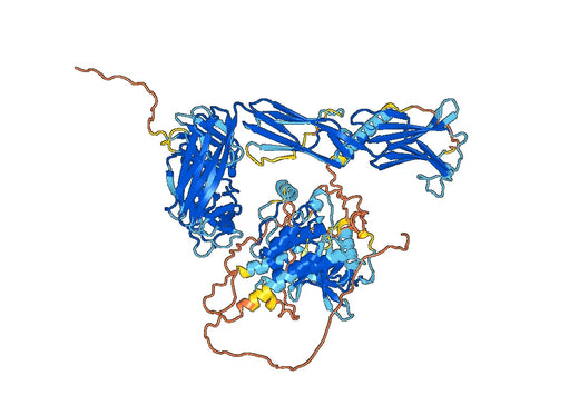 Cabiralizumab ELISA Kit