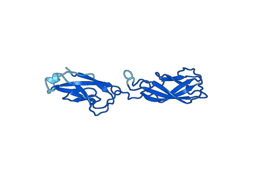 Cadherin-1(CDH1)